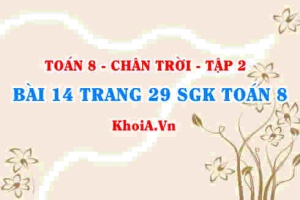 Bài 14 trang 29 Toán 8 Chân trời sáng tạo Tập 2